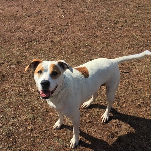 Fundraising Page: Michael Murphy